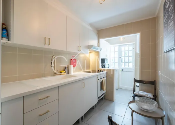 Stylish Garden By Galmi