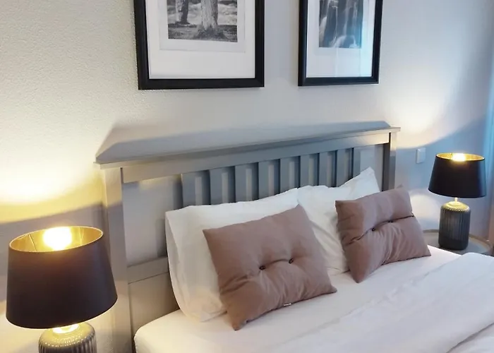 Stylish Garden By Galmi